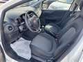 Fiat Punto Punto 1.2 benzina 69cv 5 porte 2016 Blanc - thumbnail 25