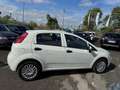 Fiat Punto Punto 1.2 benzina 69cv 5 porte 2016 Blanc - thumbnail 23