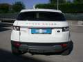 Land Rover Range Rover Evoque Range Rover Evoque 5p 2.2 Dynamic 150cv Bianco - thumbnail 7