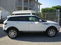 Land Rover Range Rover Evoque Range Rover Evoque 5p 2.2 Dynamic 150cv Bianco - thumbnail 9