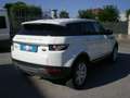 Land Rover Range Rover Evoque Range Rover Evoque 5p 2.2 Dynamic 150cv Bianco - thumbnail 8