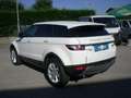Land Rover Range Rover Evoque Range Rover Evoque 5p 2.2 Dynamic 150cv Bianco - thumbnail 6
