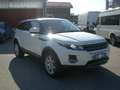 Land Rover Range Rover Evoque Range Rover Evoque 5p 2.2 Dynamic 150cv Bianco - thumbnail 2