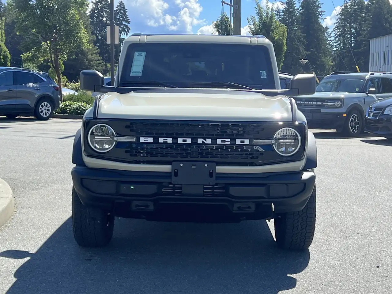 Ford Bronco fotografie Ford Bronco