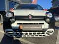Fiat Panda 1.0 Cross RED Blanc - thumbnail 3