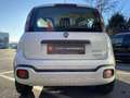 Fiat Panda 1.0 Cross RED Blanc - thumbnail 6