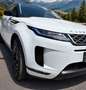 Land Rover Range Rover Evoque 2,0 D150 R-Dynamic S Aut. Weiß - thumbnail 5