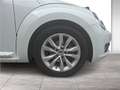 Volkswagen Beetle Cabrio Weiß - thumbnail 4