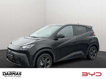 DOLPHIN SURF Comfort