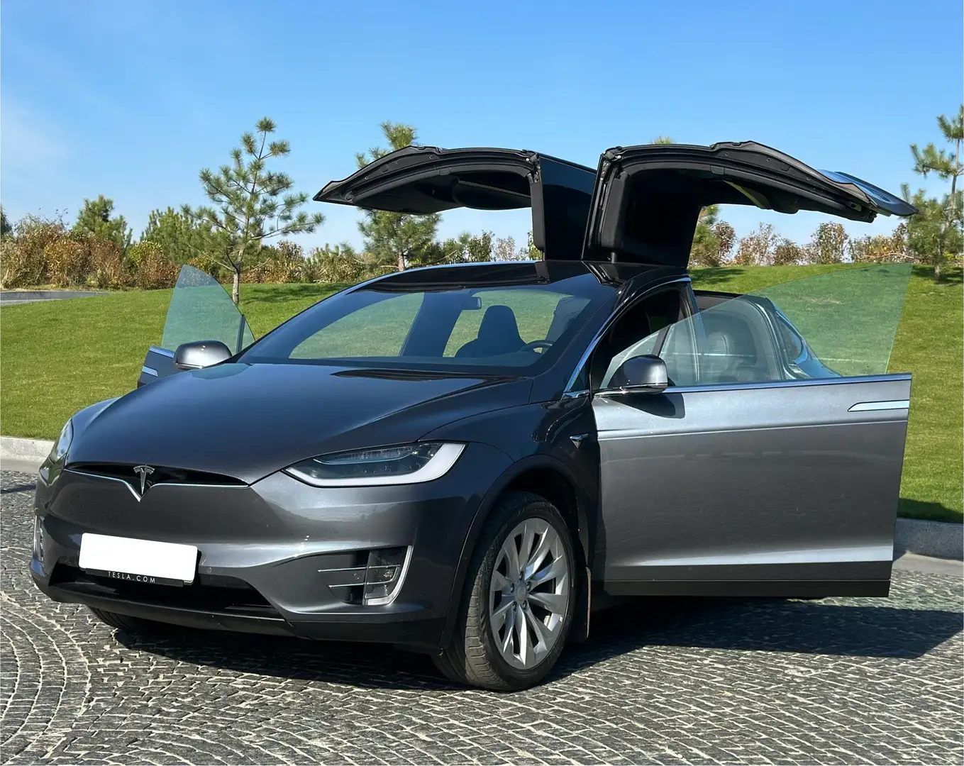 Tesla Model X 100D Allradantrieb - 1
