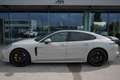Porsche Panamera Turbo S E-Hybrid PHEV|P-Dach|Soft-Close| Grau - thumbnail 3