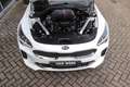 Kia Stinger 3.3 V6 T-GDI AWD GT | 2e eigenaar | 6 cilinder | 3 Weiß - thumbnail 10