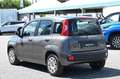 Fiat Panda 1.0 FireFly S&S Hybrid Grigio - thumbnail 4