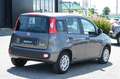 Fiat Panda 1.0 FireFly S&S Hybrid Grigio - thumbnail 3