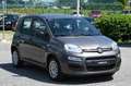 Fiat Panda 1.0 FireFly S&S Hybrid Grigio - thumbnail 2