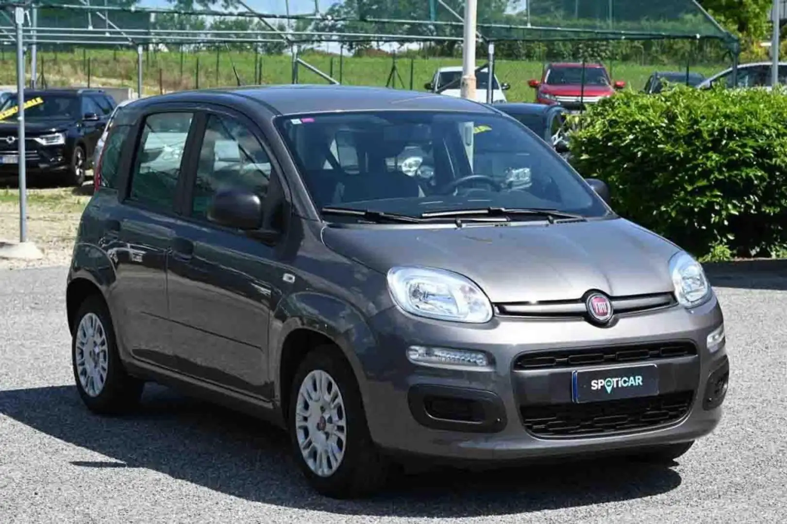 Fiat Panda 1.0 FireFly S&S Hybrid Grigio - 2