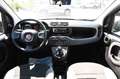 Fiat Panda 1.0 FireFly S&S Hybrid Grigio - thumbnail 7