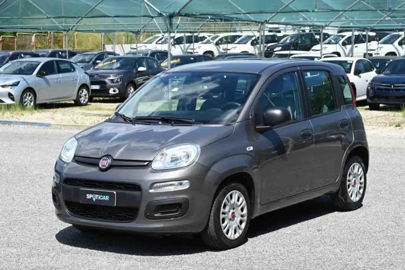Fiat Panda 1.0 FireFly S&S Hybrid Grigio - 1