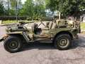 Jeep Willys Zelená - thumbnail 8