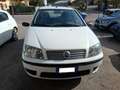 Fiat Punto Punto II 2003 5p 1.2 Dynamic Blanc - thumbnail 1