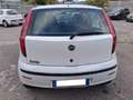 Fiat Punto 5p 1.2 Dynamic Bianco - thumbnail 4