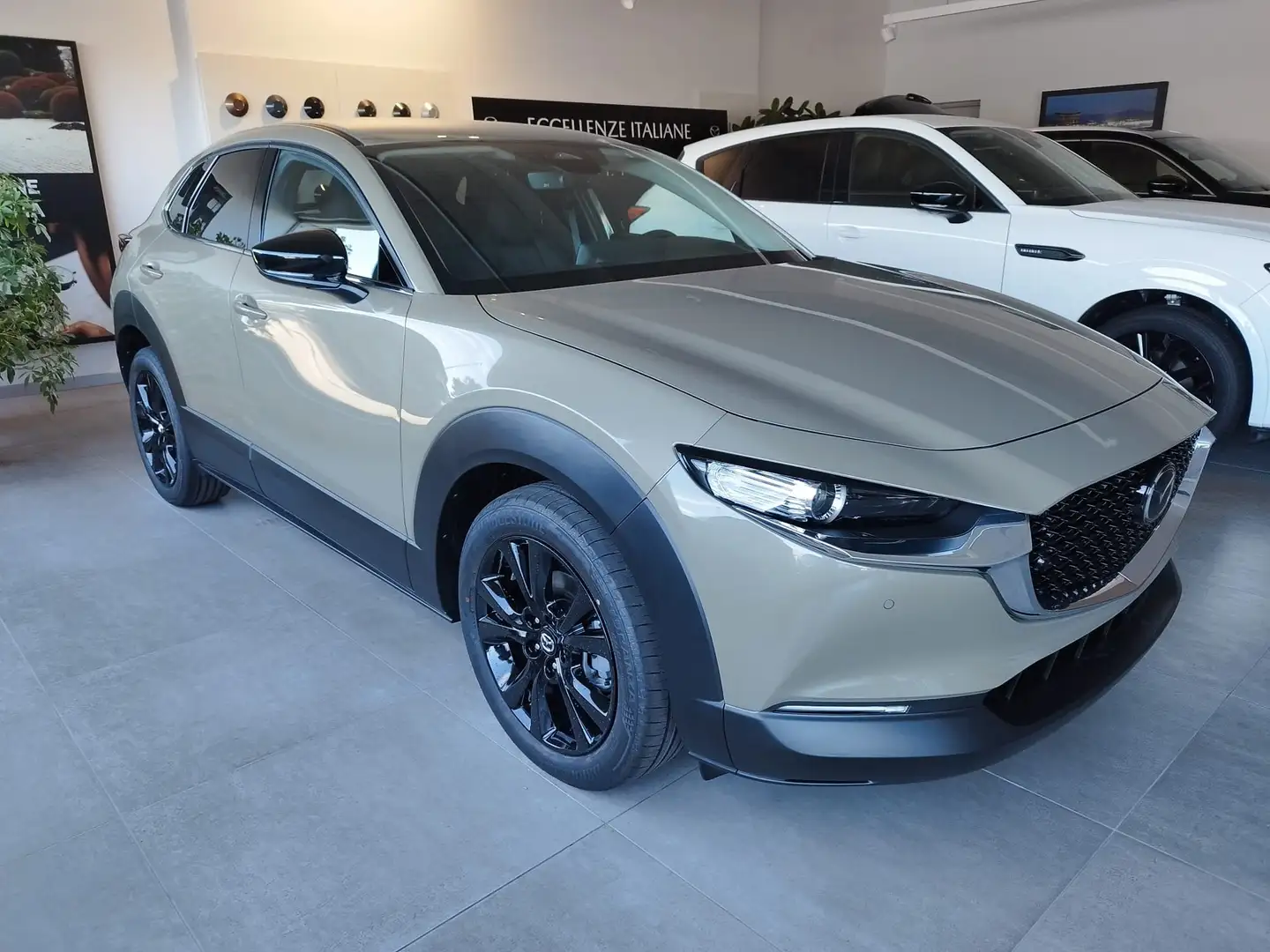 Mazda CX-30 2.5 m-hybrid Homura portel.elettr2wd 140cv 6mt Vert - 1