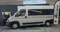 Citroen Jumper JUMPER 9 POSTI 2200 TURBO 140CV P.LUNGO T.ALTO Gris - thumbnail 13