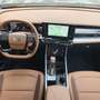 SsangYong Torres Forest Edition  1.5 B A/T 163 PS Vert - thumbnail 7