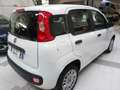 Fiat Panda N1 4POSTI 1.2 Easy Euro6 Autocarro White - thumbnail 11