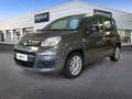 Fiat Panda 1.0 FireFly 70cv S&S Hybrid Grigio - thumbnail 1