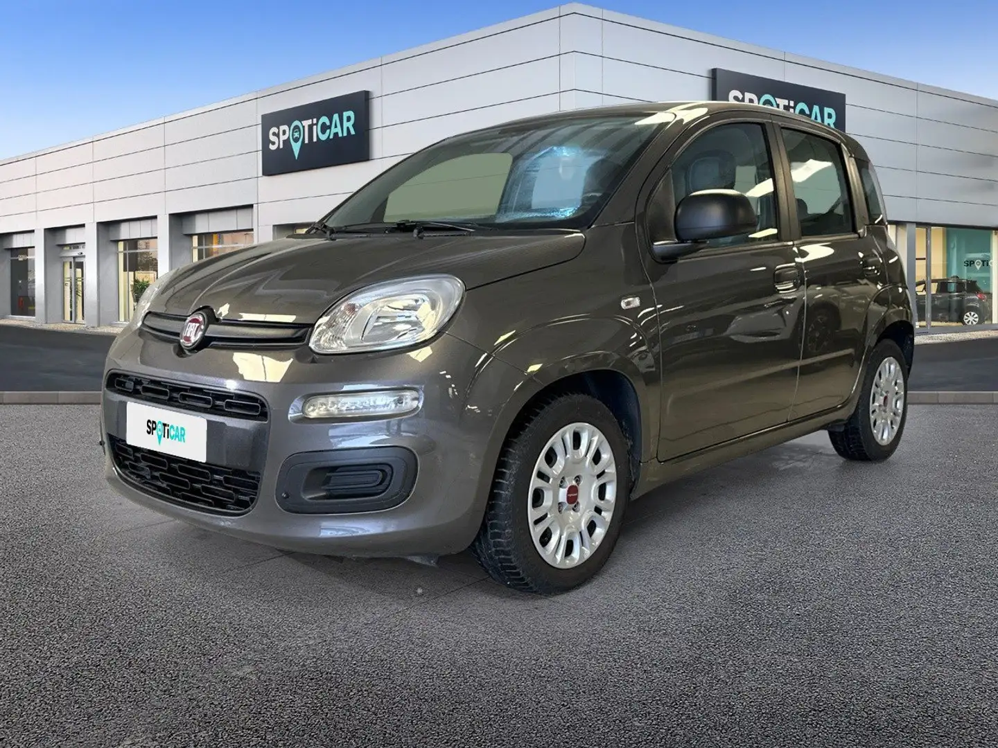 Fiat Panda 1.0 FireFly 70cv S&S Hybrid Grigio - 1