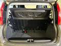 Fiat Panda 1.0 FireFly 70cv S&S Hybrid Grigio - thumbnail 11