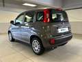 Fiat Panda 1.0 FireFly 70cv S&S Hybrid Grigio - thumbnail 3