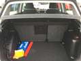 Volkswagen Cross Golf Klimaaut.,Alu,Temp.,Sitzheiz.! Argento - thumbnail 12