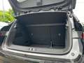 Renault Megane E-Tech 100% ele Techno 220 Comfort Range* Schwarz - thumbnail 13