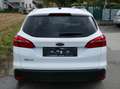 Ford Focus Titanium Weiß - thumbnail 5