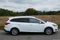 Ford Focus Titanium Weiß - thumbnail 3