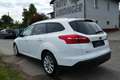 Ford Focus Titanium Weiß - thumbnail 6