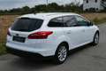 Ford Focus Titanium Weiß - thumbnail 4
