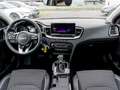 Kia XCeed 1.5T DCT Vision Navi Kamera ACC - thumbnail 12