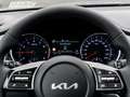 Kia XCeed 1.5T DCT Vision Navi Kamera ACC - thumbnail 17