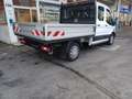 Ford Transit 350 L2 Doppelkabine Trend Weiß - thumbnail 6