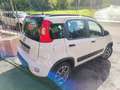 Fiat Panda Panda 1.3 mjt 4x4 NEW ANTARTICA/ELD/CONNECT/ANTIFU Bianco - thumbnail 4