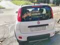 Fiat Panda Panda 1.3 mjt 4x4 NEW ANTARTICA/ELD/CONNECT/ANTIFU Bianco - thumbnail 5