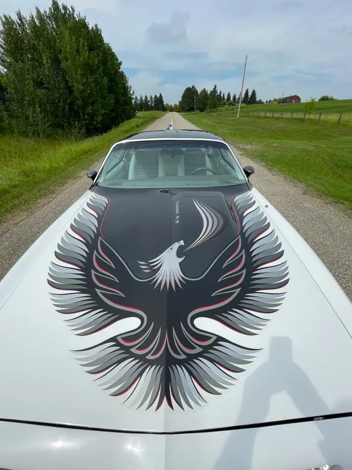 Pontiac Firebird fotografie Pontiac Firebird