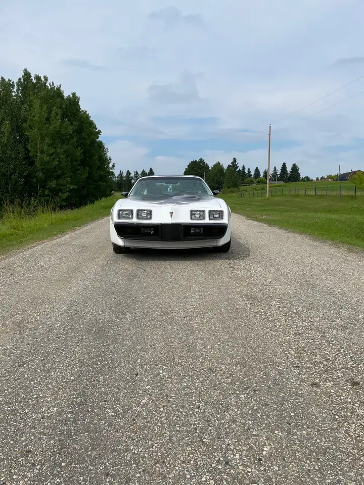 Pontiac Firebird fotografie Pontiac Firebird