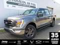 Ford F 150 F-150 XLT 5.0 V8 ❗️Sofort-Verfügbar❗️ Abholung in Grau - thumbnail 1