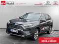 Toyota RAV 4 Grau - thumbnail 1