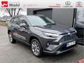 Toyota RAV 4 Grau - thumbnail 21
