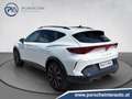 CUPRA Formentor 1.5 e-TSI 150 PS DSG Weiß - thumbnail 4